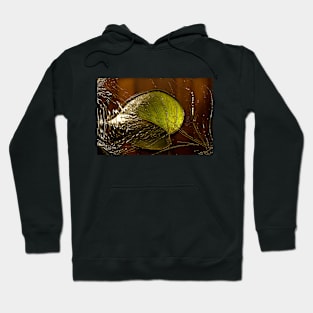 Poto Leaf Isolated Hoodie